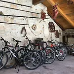 Rustic Jolly Apartamento Premantura