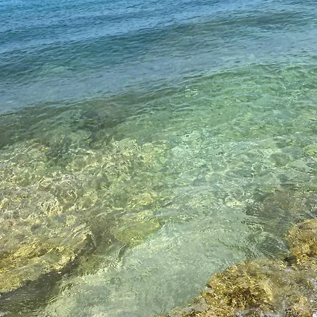 Apartman Rustic Jolly *