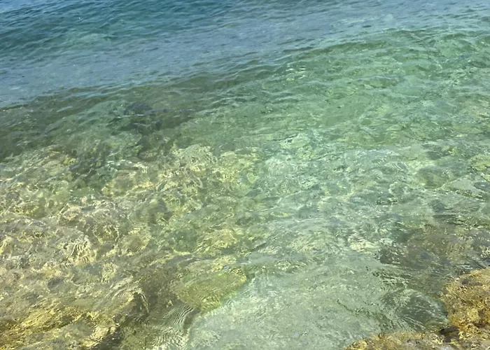 Apartment Rustic Jolly *